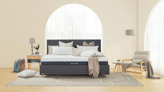 VISI | Sleep like a king: Sloom Launches the Biggest Bed in South Africa